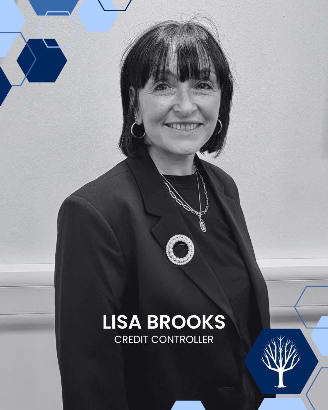 Introduction to Lisa Brooks at Midshires Electrical